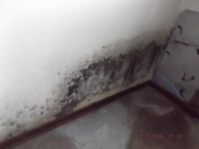 605 Bobcat Avenue — photo 14