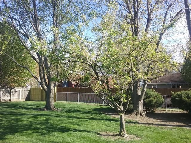 105 N 12th Street — photo 13