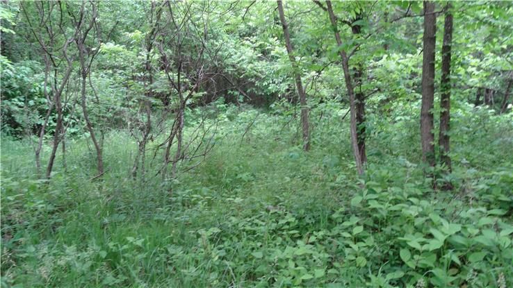 11715 Sni a Bar Road — photo 14
