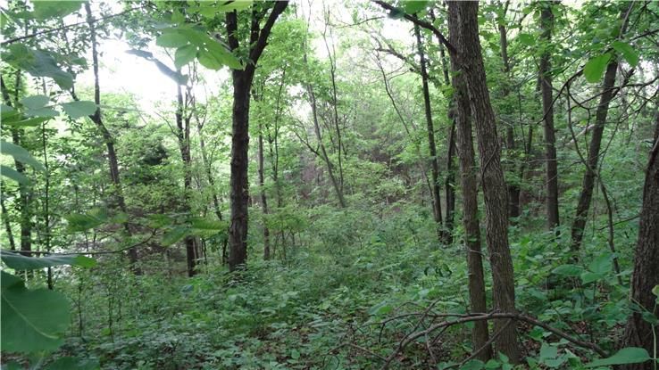 11715 Sni a Bar Road — photo 18