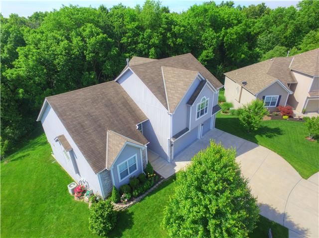 731 White Tail Court — photo 5