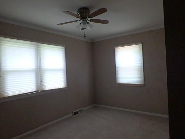 933 Oak Street — photo 8