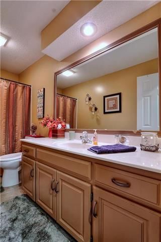 11220 BENT TREE Drive — photo 19