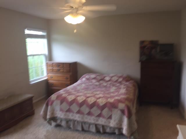 721 Sunset Drive — photo 7