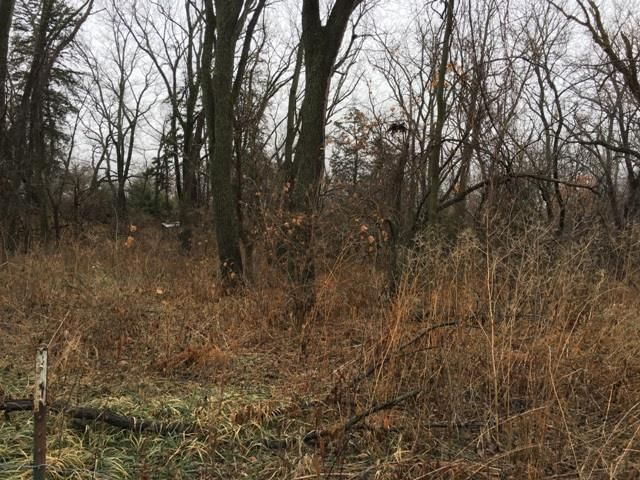 155 Street — photo 6
