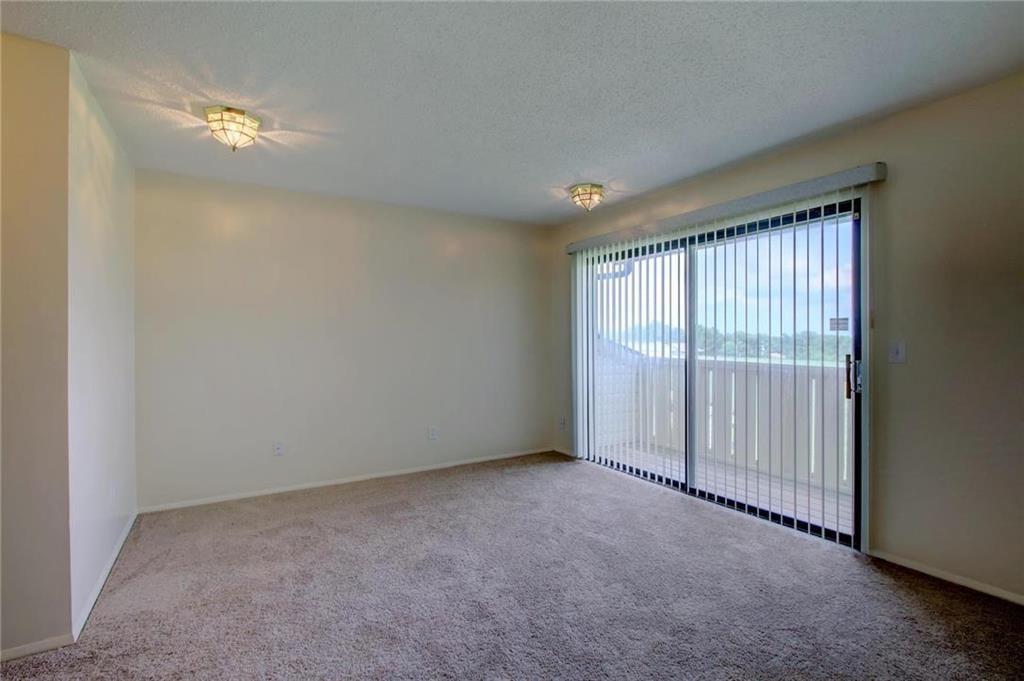 6206 Holly Tree Lane — photo 21
