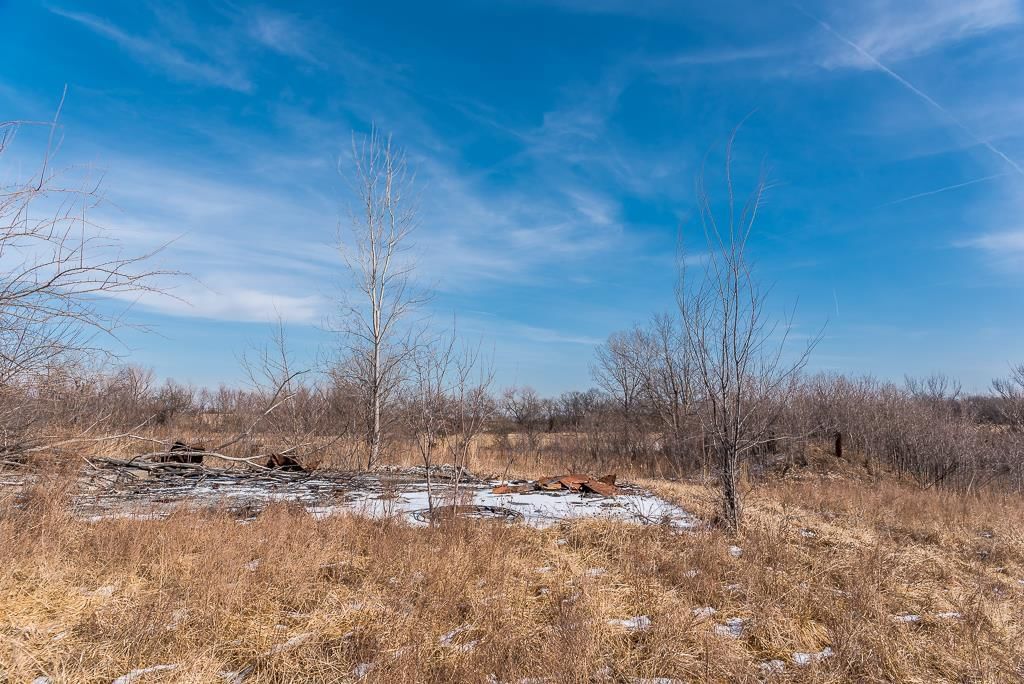 21518 Mclouth Road — photo 10