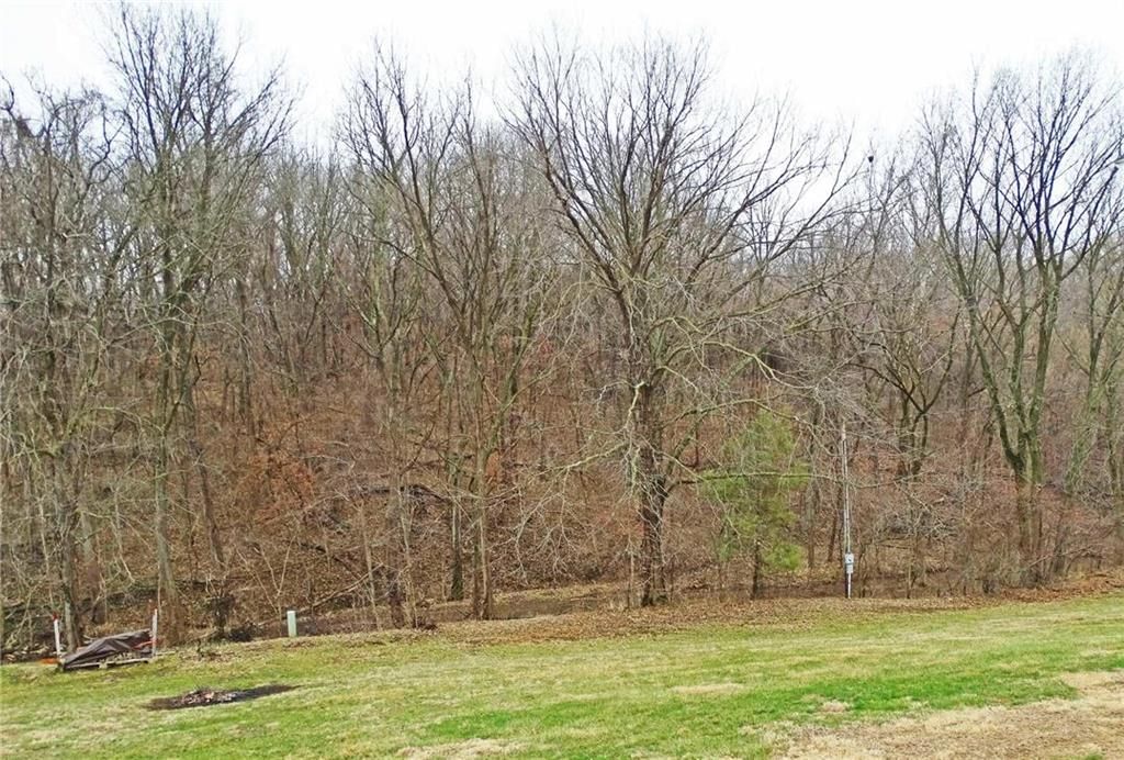 19020 N MO-45 Highway — photo 14