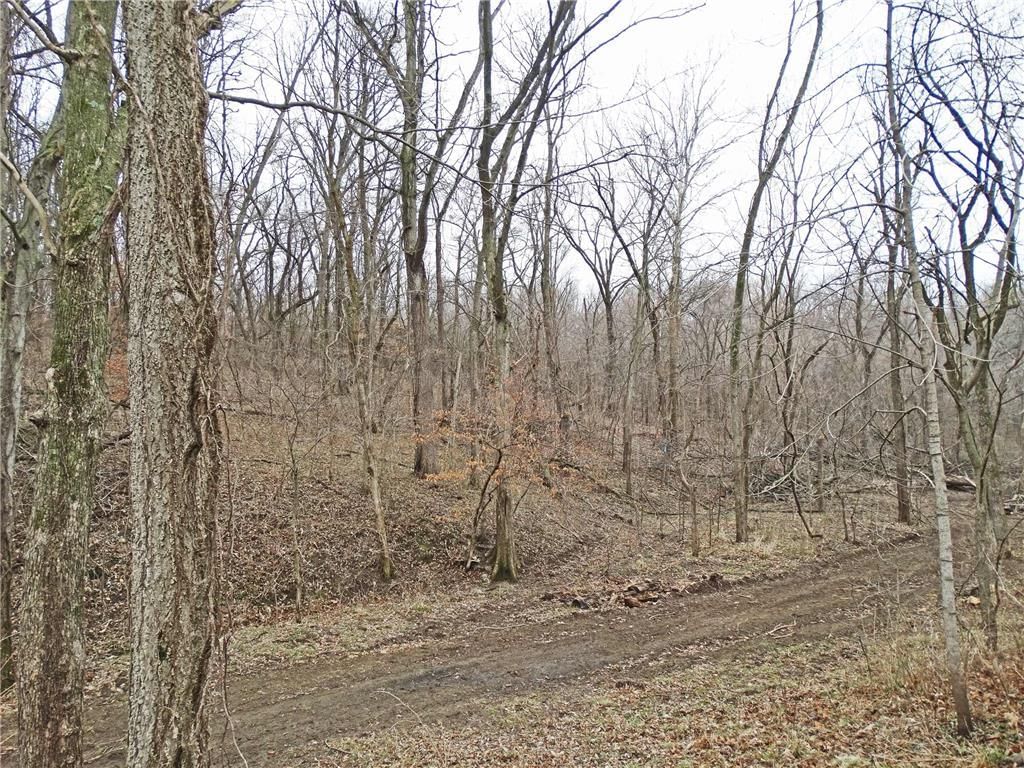 19020 N MO-45 Highway — photo 15