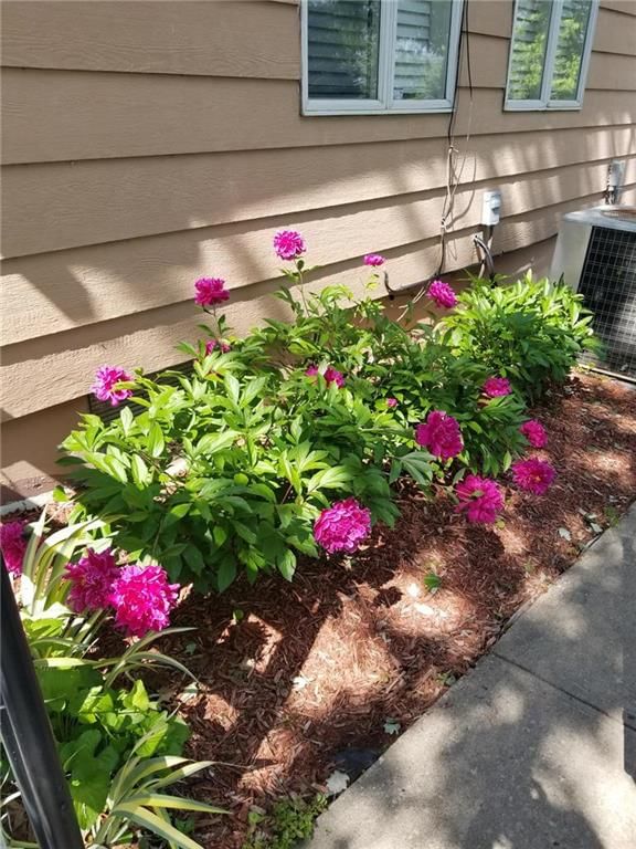 14295 Highway M N/A — photo 28