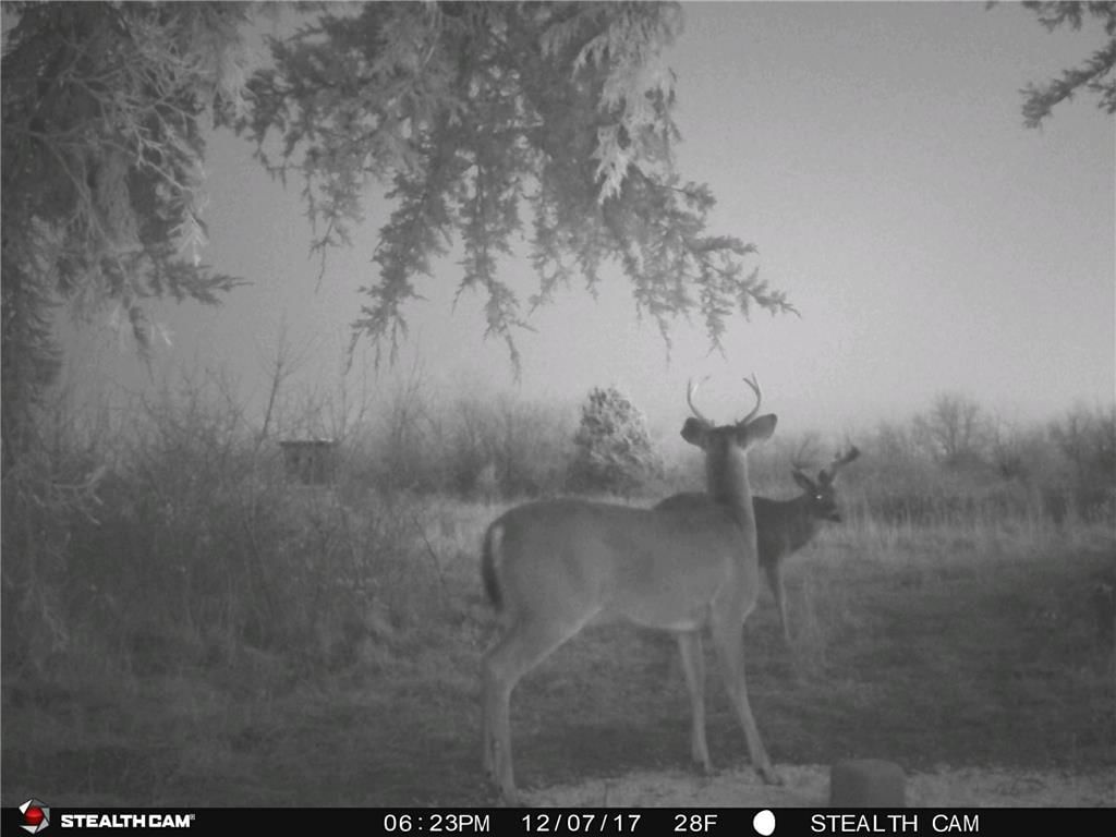 391 & PleasantValley Road — photo 23