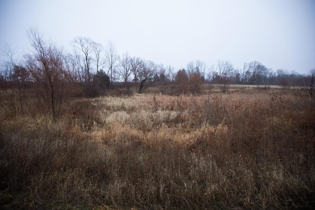 24011 State Route 92 Highway — photo 27