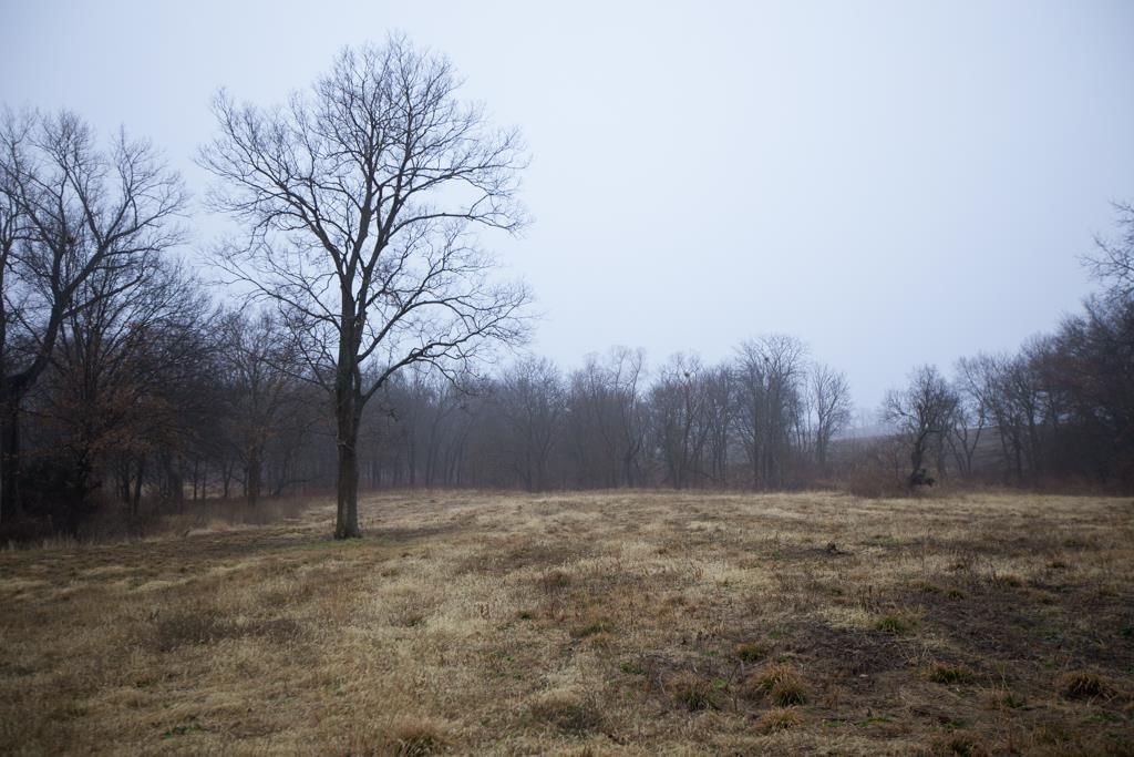 24011 State Route 92 Highway — photo 42