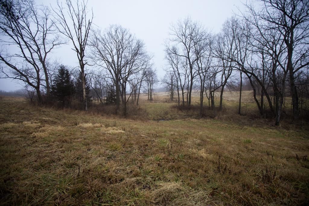 24011 State Route 92 Highway — photo 43