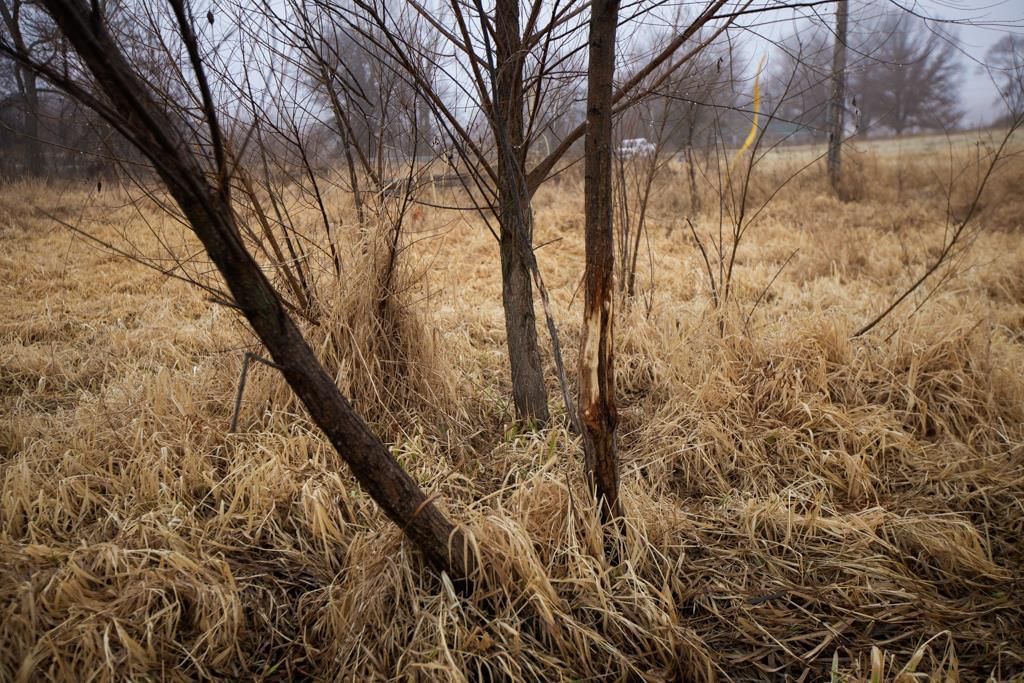 24011 State Route 92 Highway — photo 50