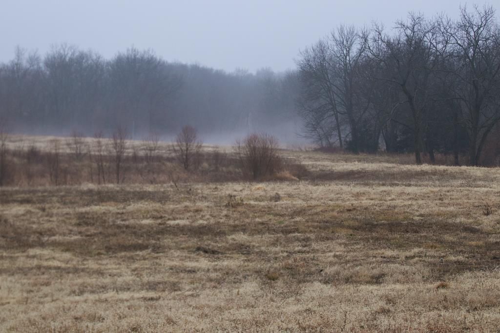 24011 State Route 92 Highway — photo 53