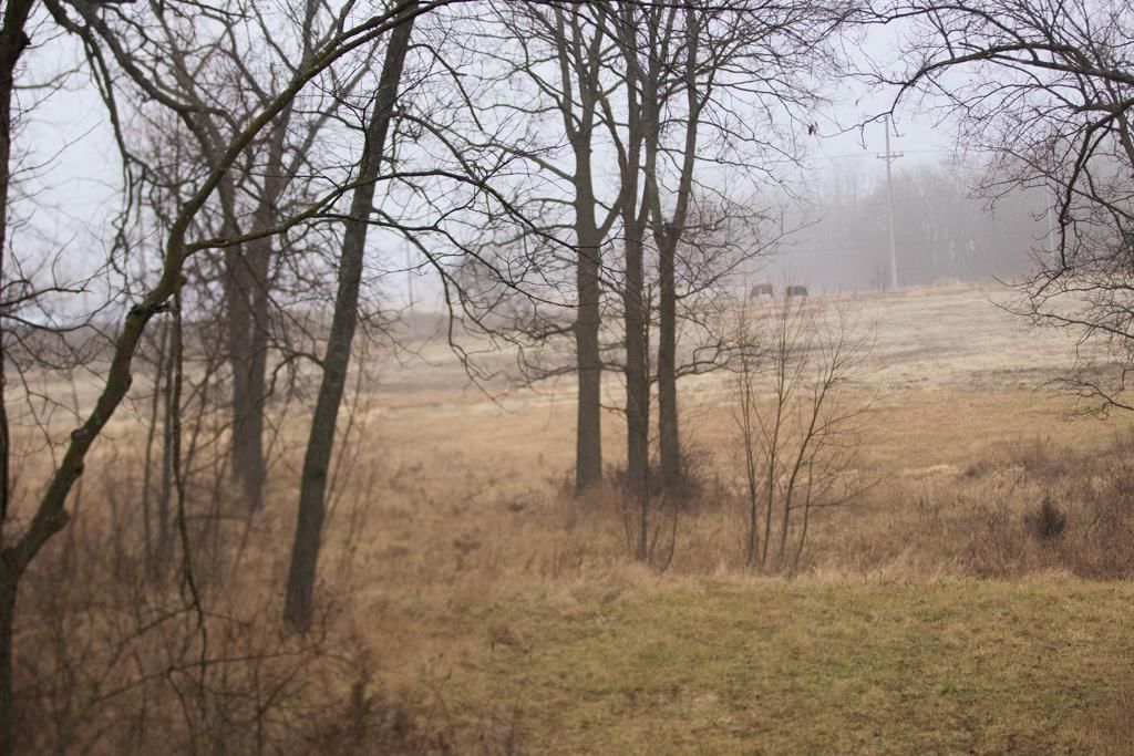 24011 State Route 92 Highway — photo 55