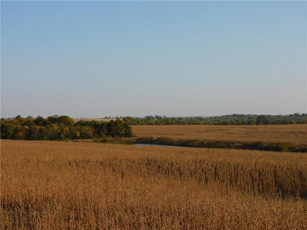 302 & Finney Road — photo 9