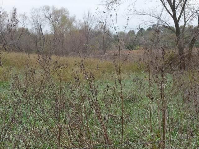 330 S Hwy EE — photo 16