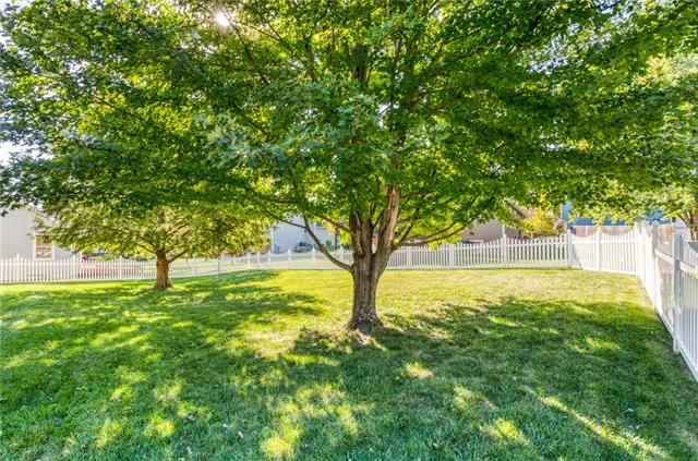 3513 Eagle Pass Court — photo 9
