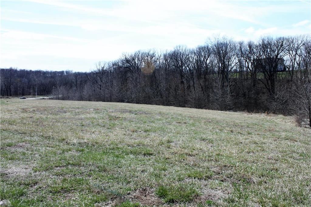 10000 N Cypress (LT 9) Avenue — photo 4