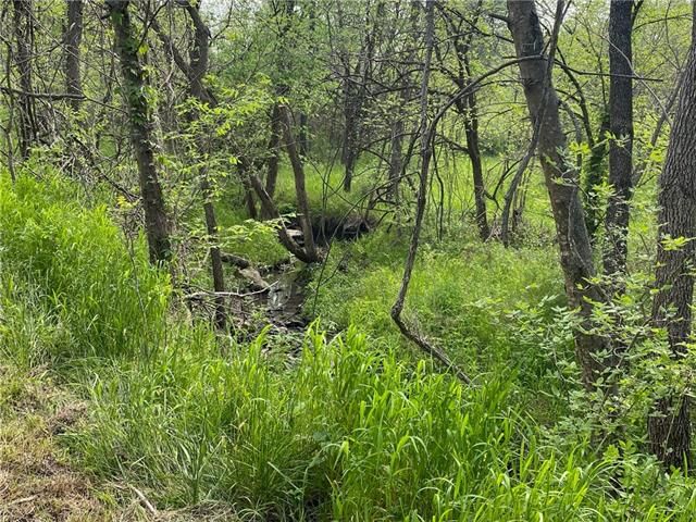 8221 Highway D N/A — photo 71