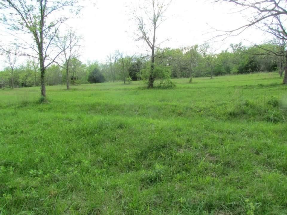 Tract 1 Renick Road — photo 37