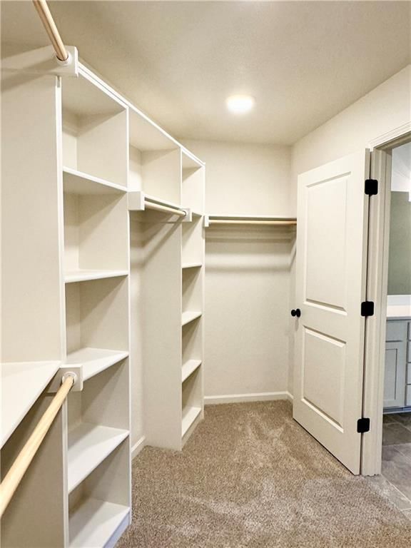 802 Merion Street — photo 14
