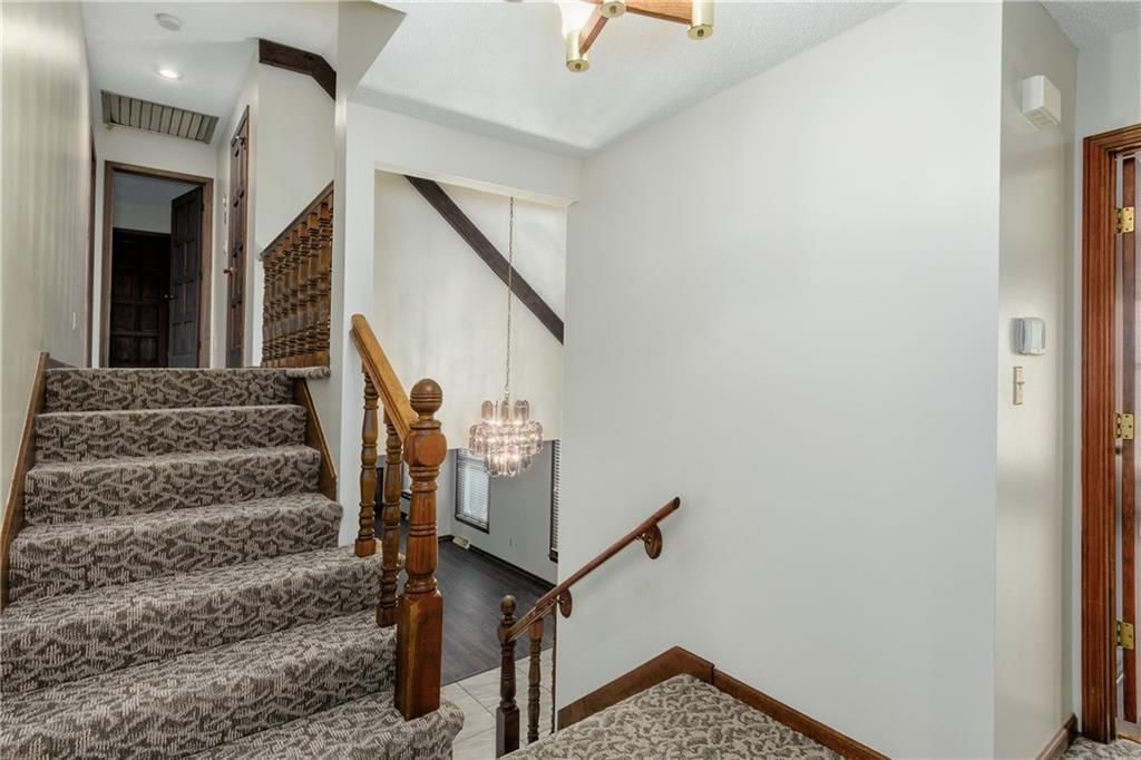 403 Palomino Circle — photo 33