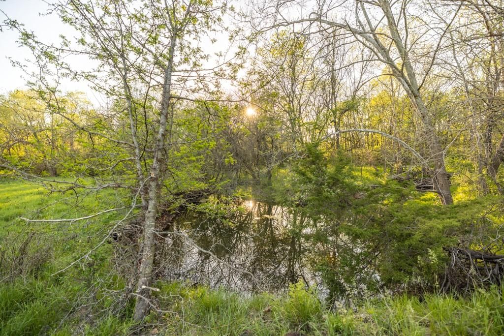 10882 Rock Falls Road — photo 28