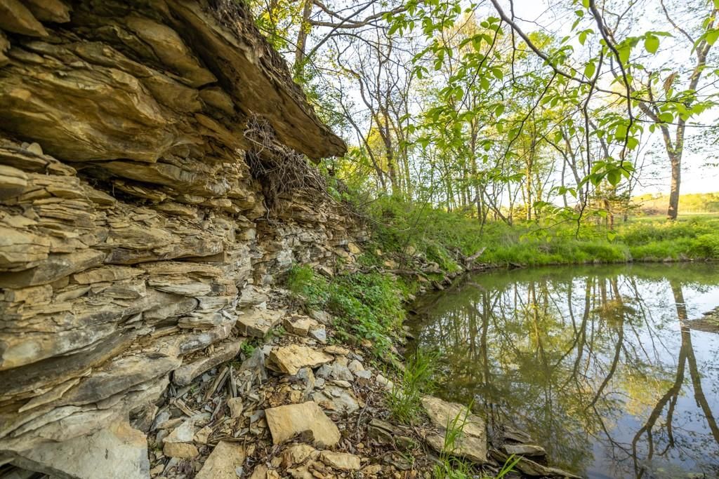10882 Rock Falls Road — photo 33