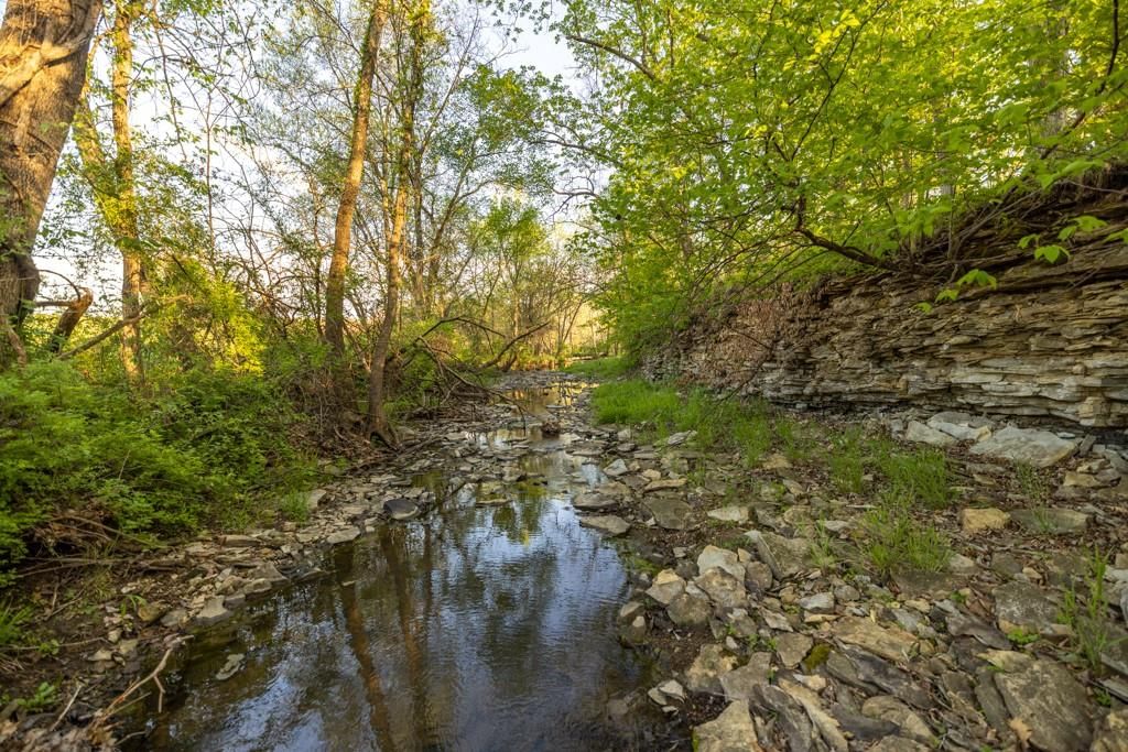 10882 Rock Falls Road — photo 7