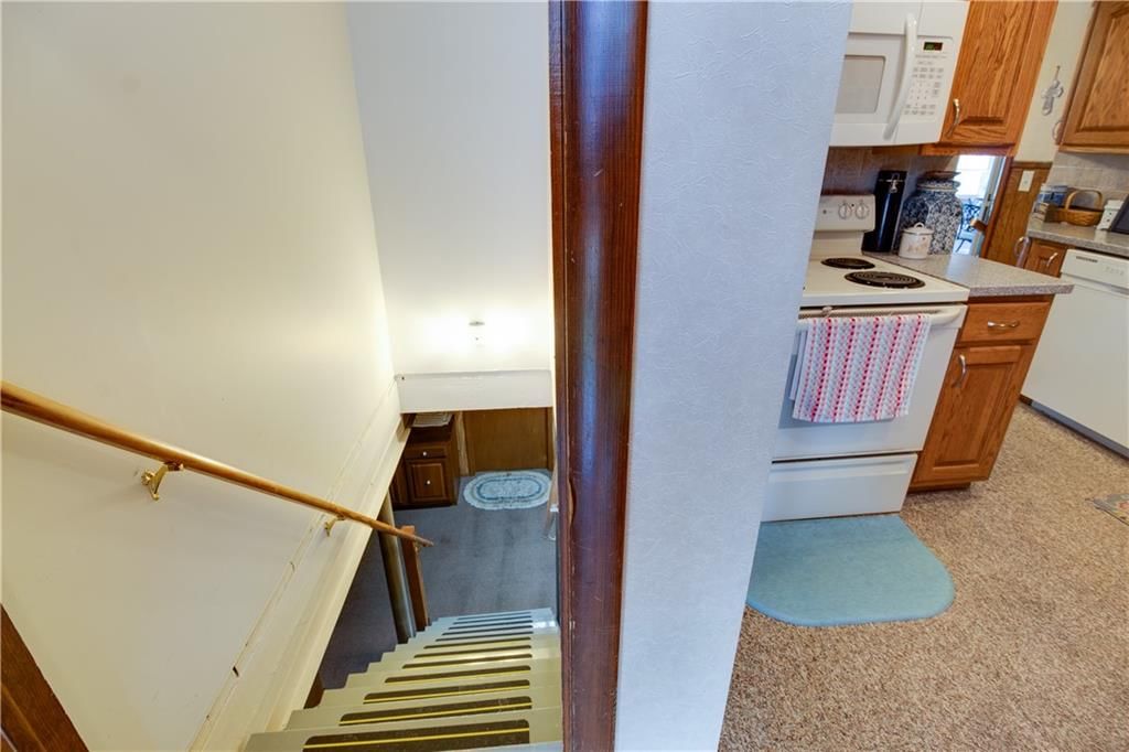 1502 Safari Drive — photo 53