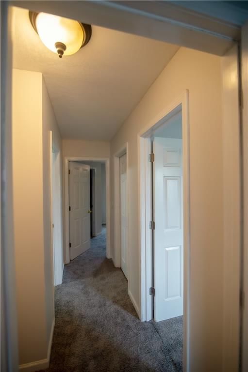 1408 Pacific Street — photo 36