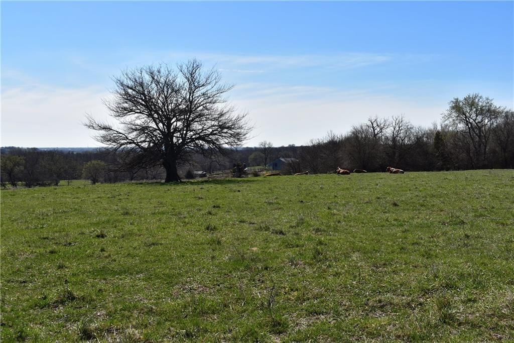 303rd & Bethel Church Road — photo 11