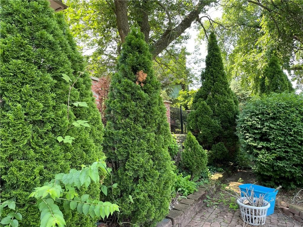 10156 Locust Street — photo 41