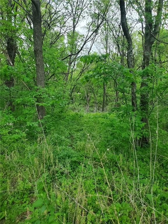 3498 Union Road — photo 6