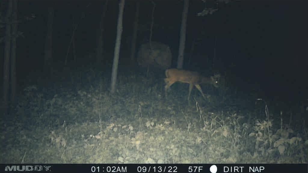 123TBD S Lake Annette Road — photo 17