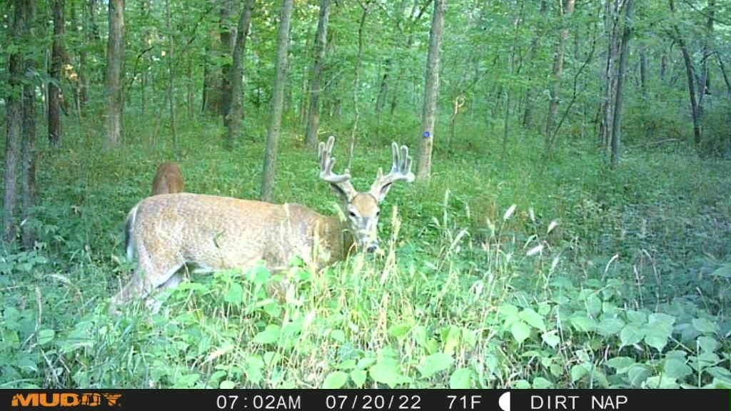 123TBD S Lake Annette Road — photo 32