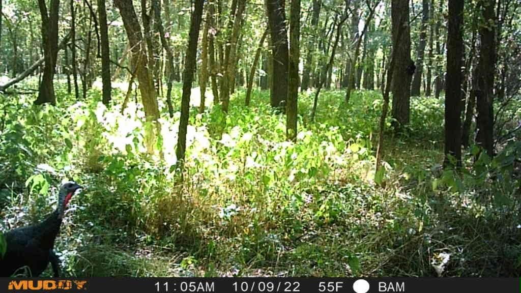 123TBD S Lake Annette Road — photo 33