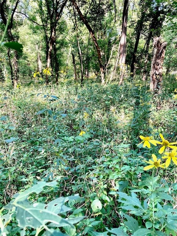 123TBD S Lake Annette Road — photo 10