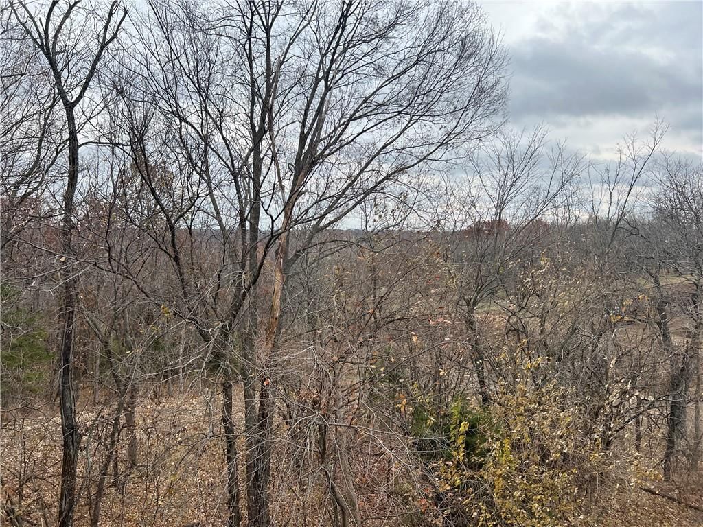 111 E Timberlake Drive — photo 17