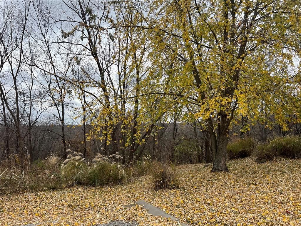 111 E Timberlake Drive — photo 3