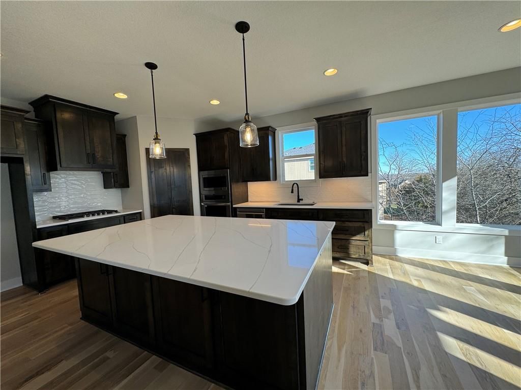 22699 W 87th Street — photo 16
