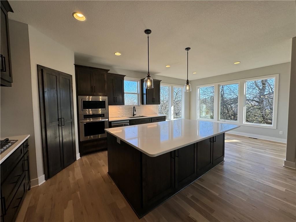 22699 W 87th Street — photo 48