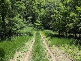 40.2 ac Mineral Point Road — photo 16
