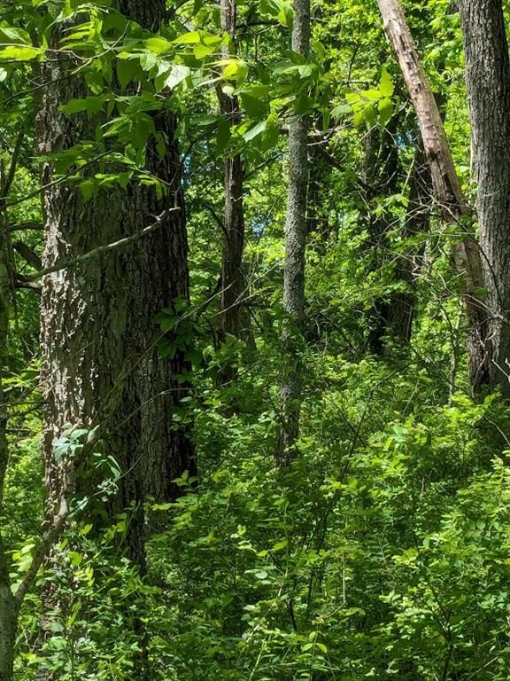 40.2 ac Mineral Point Road — photo 7
