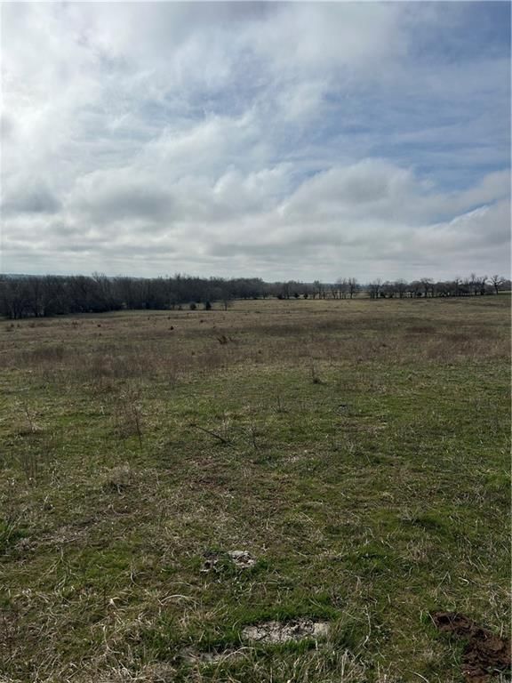 2220 Louisiana Road — photo 23