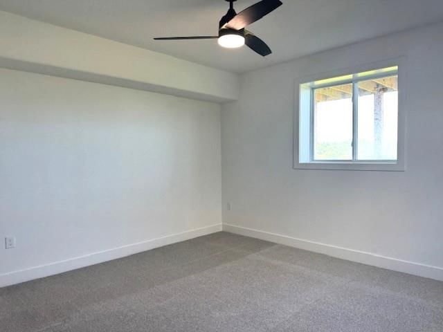 29613 W 196th Street — photo 44
