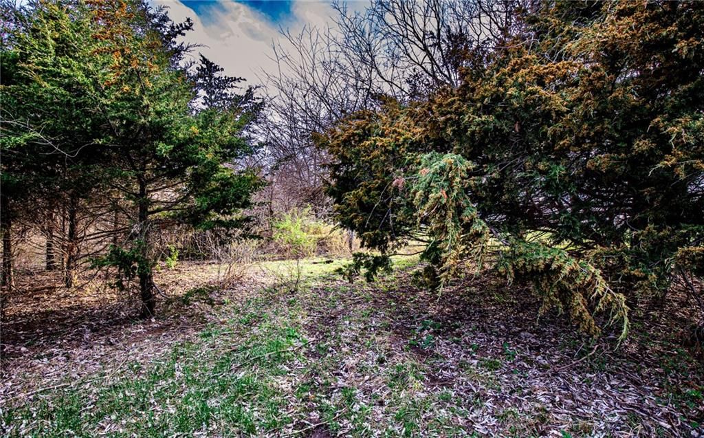 8869 W 359th Street — photo 21